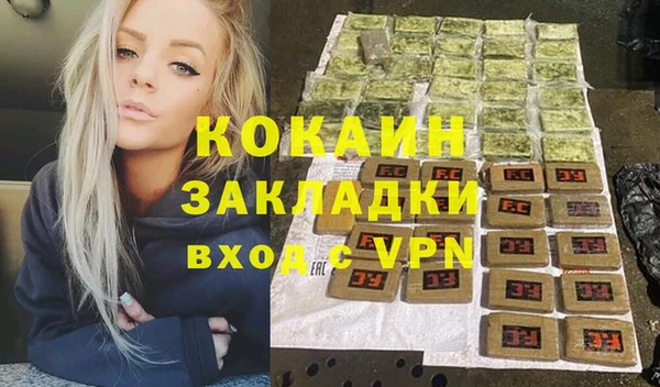 шишки Няндома