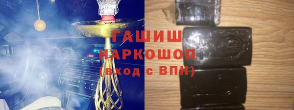шишки Няндома