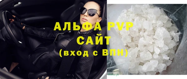 шишки Няндома