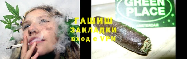 шишки Няндома