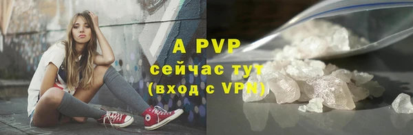 шишки Няндома