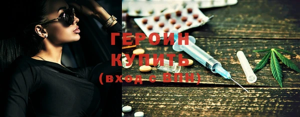 шишки Няндома