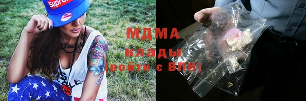 шишки Няндома